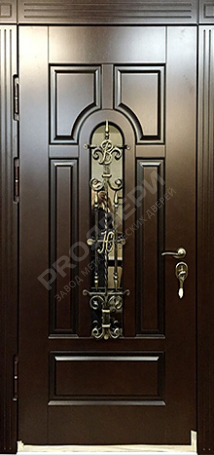 Фотография «Дверь с ковкой №16»