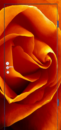 Фотография «Дверь с фотопечатью №11»